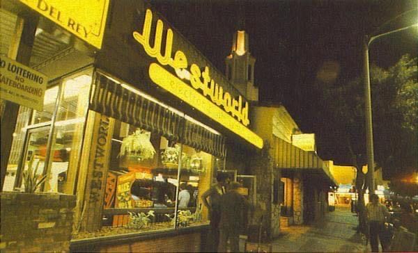Westworld Electronic Amusement Center