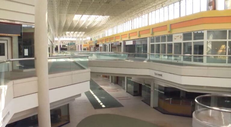 The Gold Mine - Hickory Hollow Mall